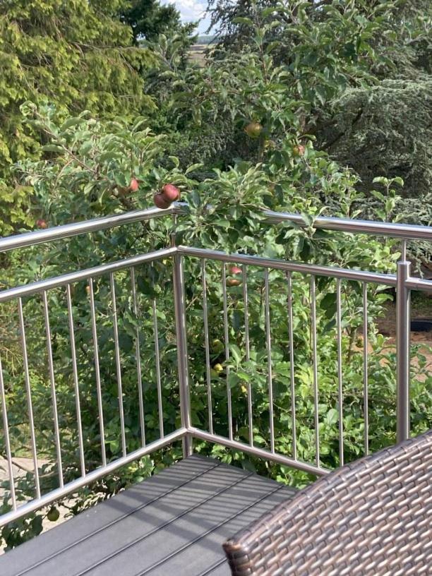 Villa Sonnenblick 13 Minuten Zum #Playmobil #Funpark Grosshabersdorf Zewnętrze zdjęcie